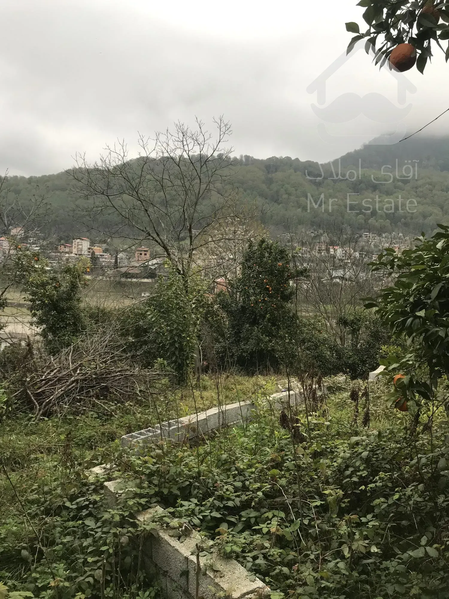 زمین مسکونی، استان مازندران، شهر شیرگاه