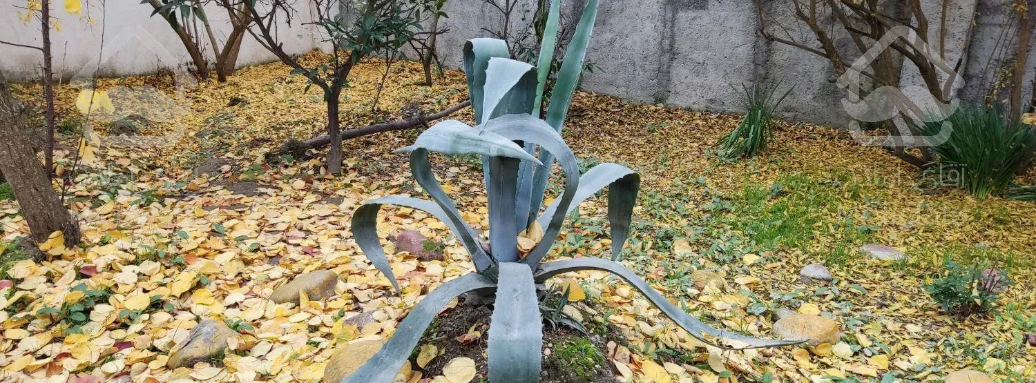 ویلا ساحلی دو خواب در فرح آباد ساری (دربست)