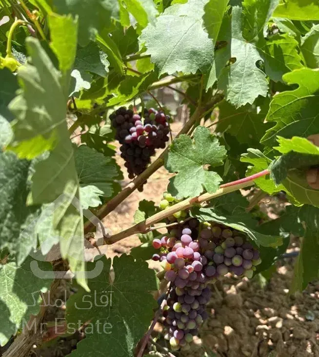 ویلا  دوبلکس سند تک برگ با پایان کار ساختمانی