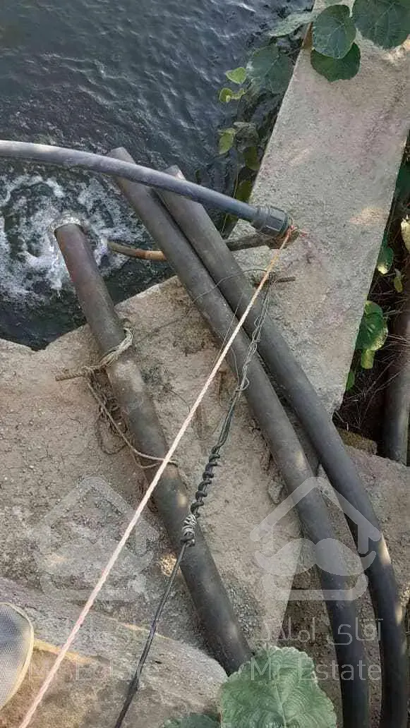 باغ کیوی سند دار پرمحصول