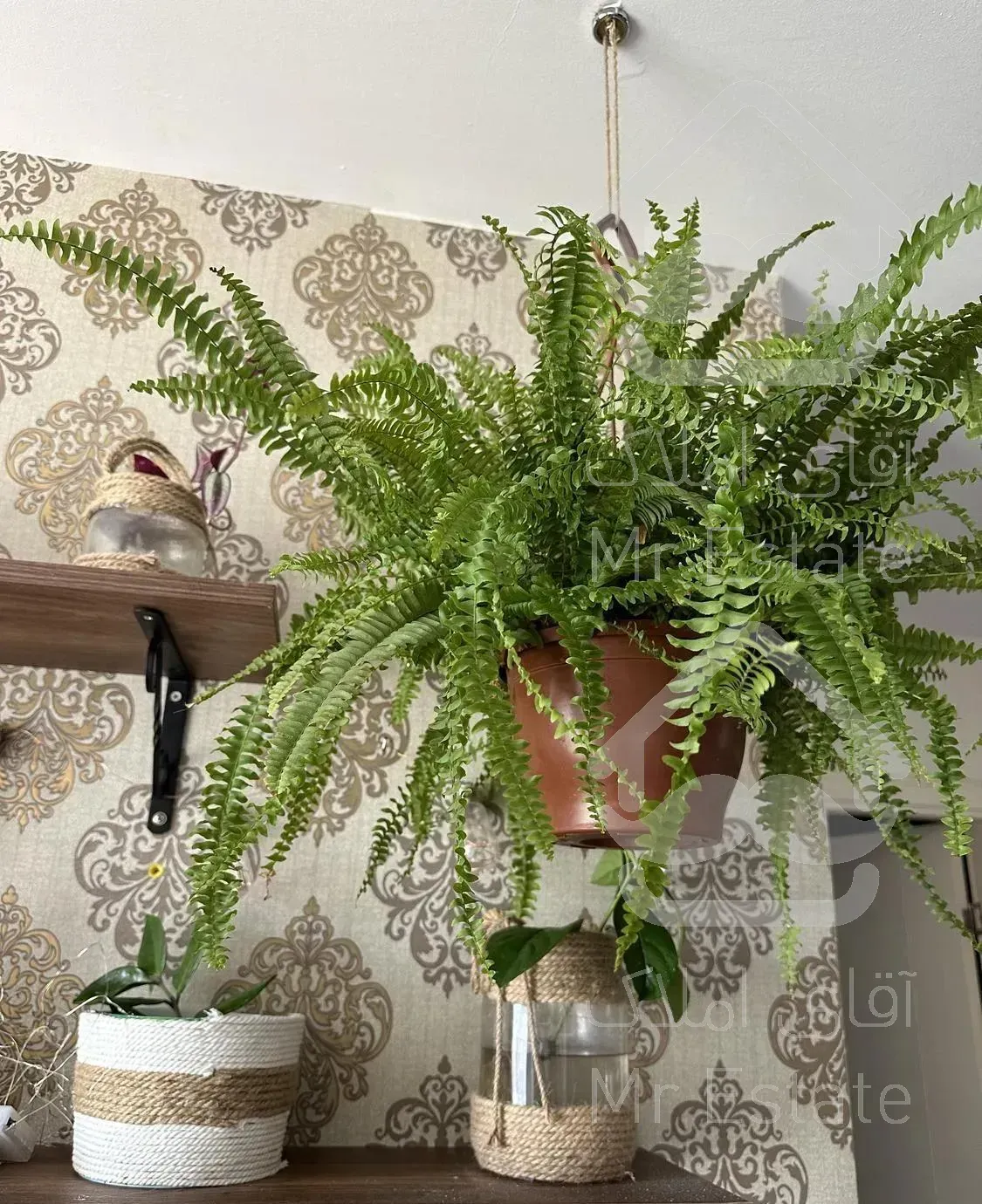 آپارتمان ترکیه ،استانبول