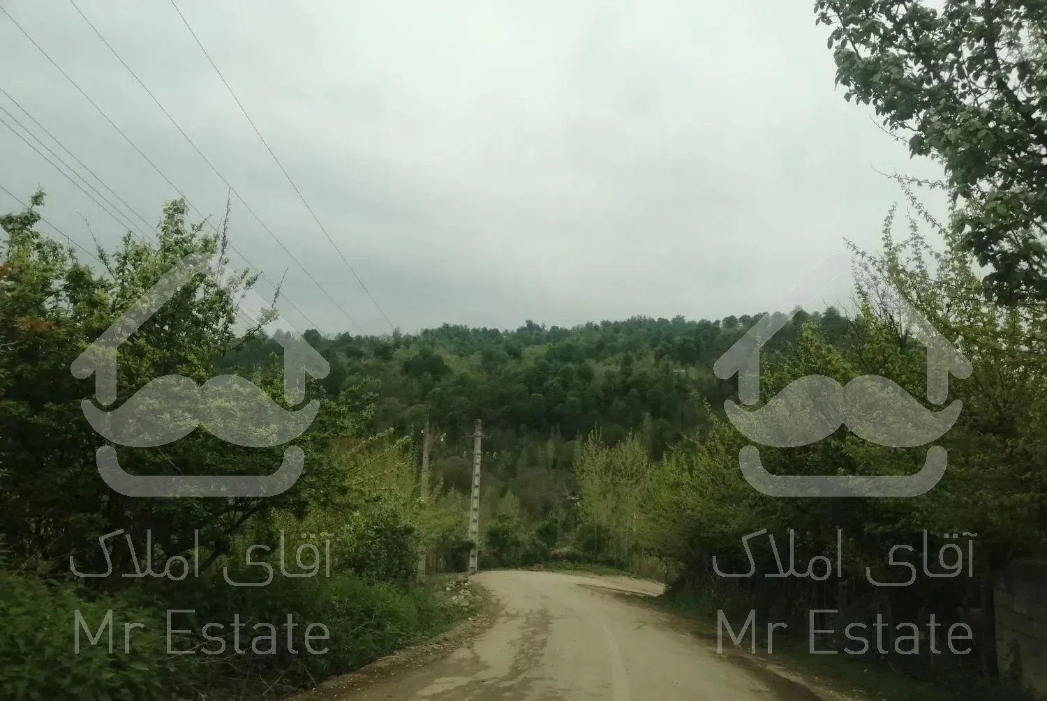 اجاره کلبه. سوئیت