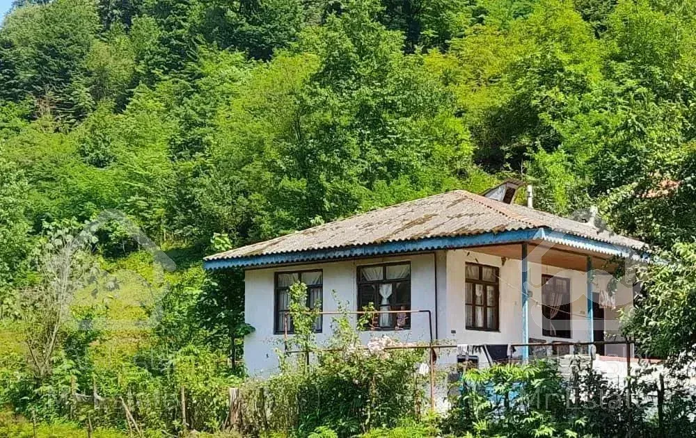 ویلای شیک  گیلان تالش