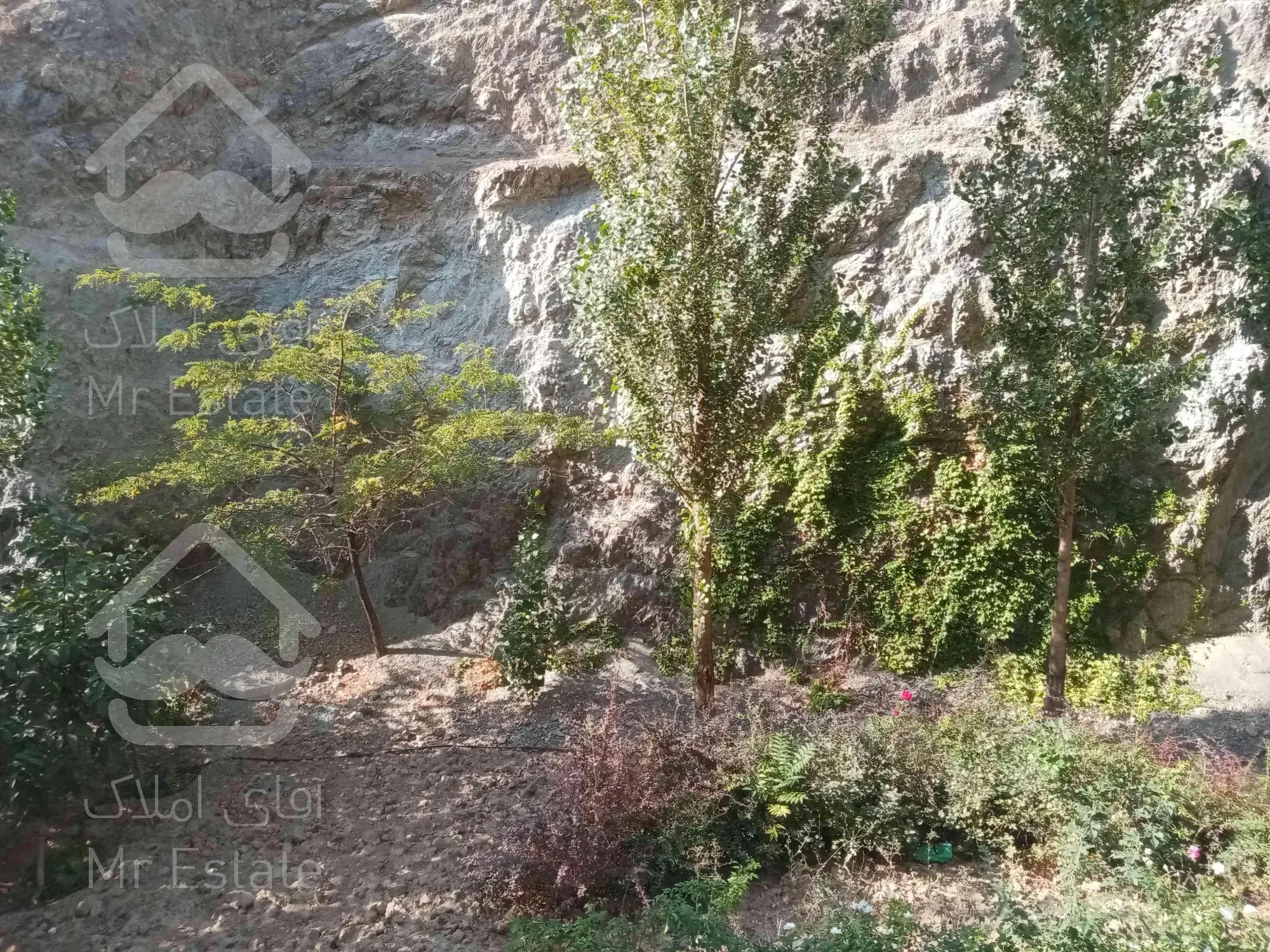 175 متر بام محک فول امکانات دنج و آرام