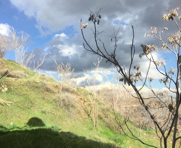 نیاوران/ 100 متر/ویو ابدی