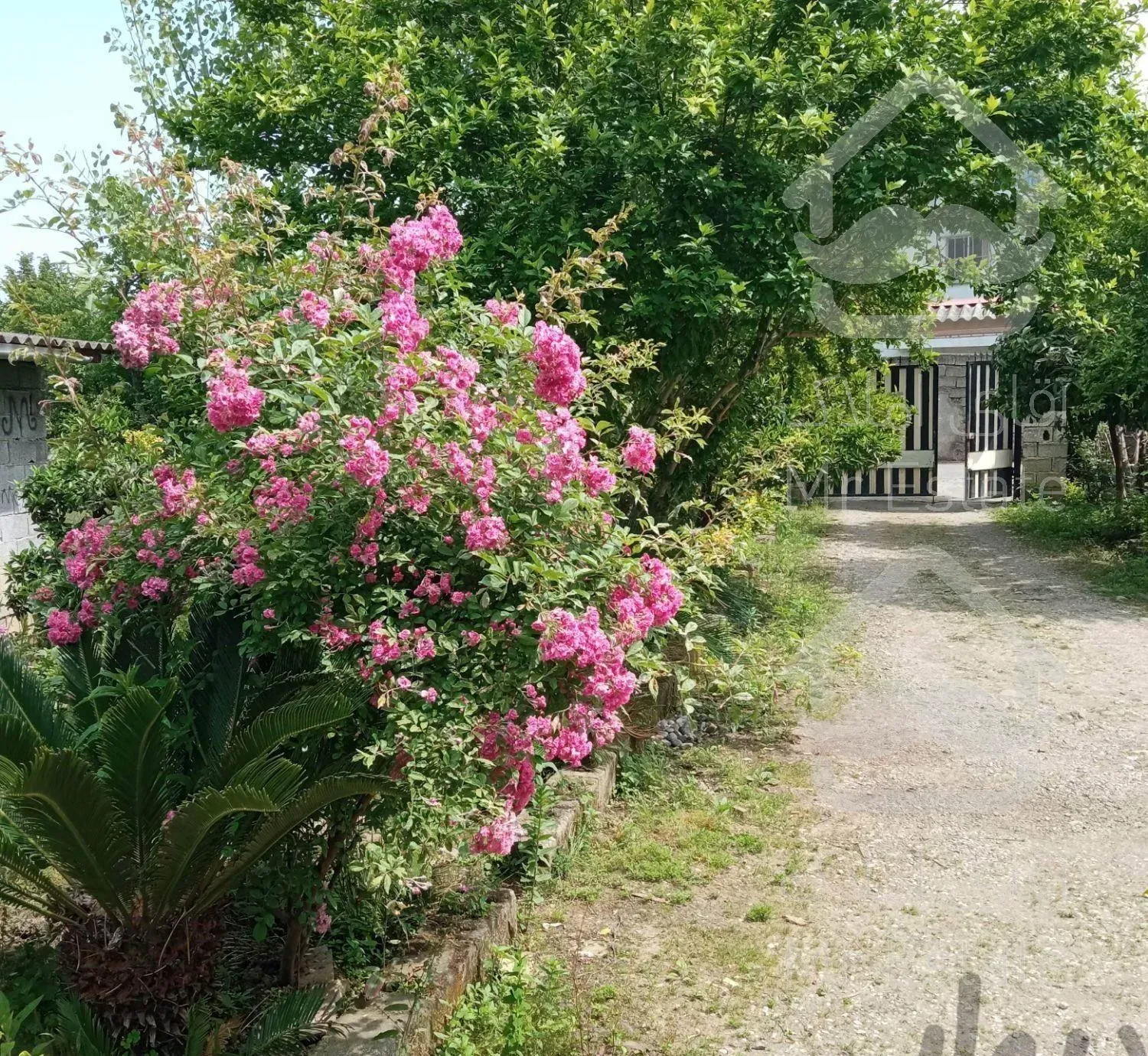 ویلا اجاره ماهانه برای دانشجو