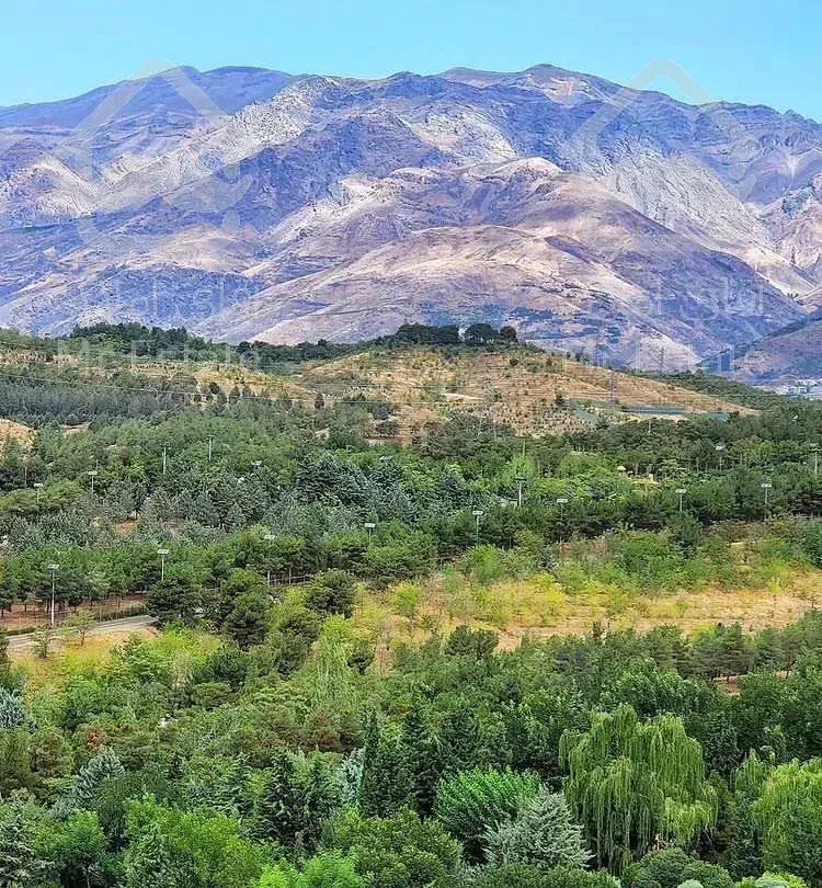 مورد سرمایه گذاری/شهرک امید/