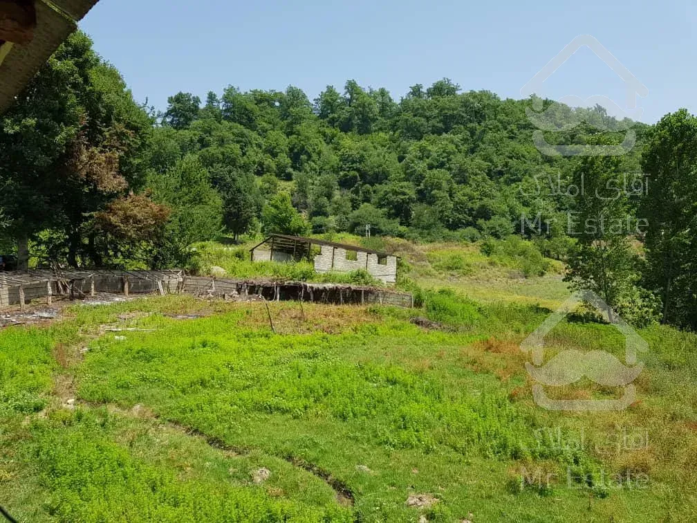 فروش زمین مازندران 43000  متر لاکچری