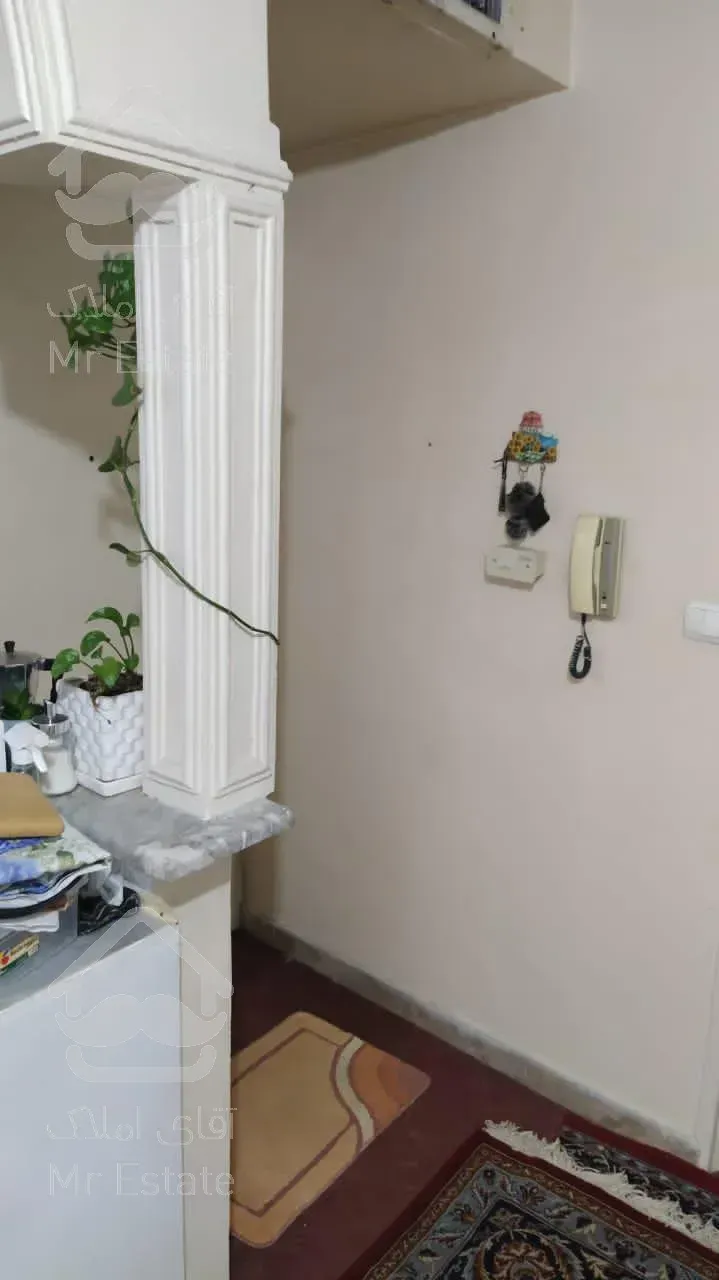 ۳۶متری یک خوابه دامپزشکی