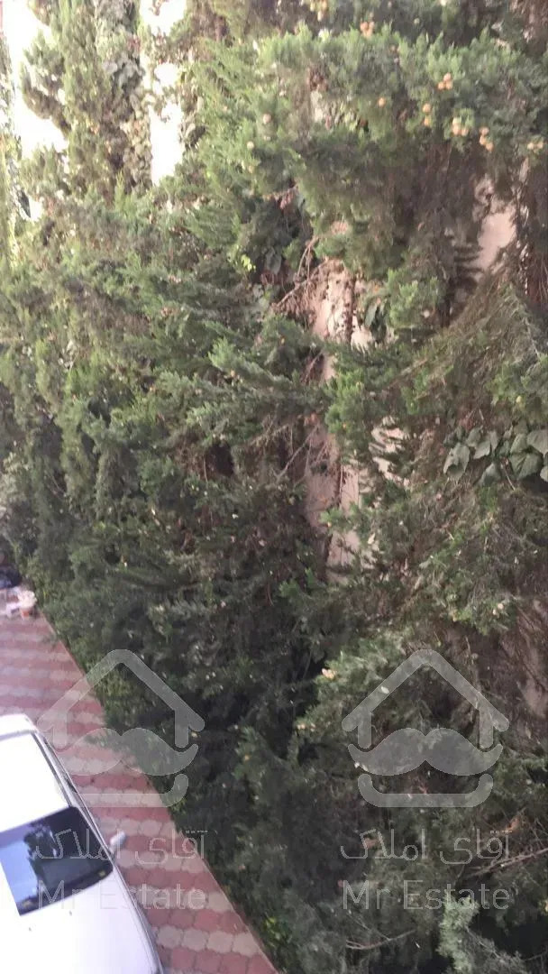 اجاره و رهن آپارتمان کامرانیه 300  متر شیک