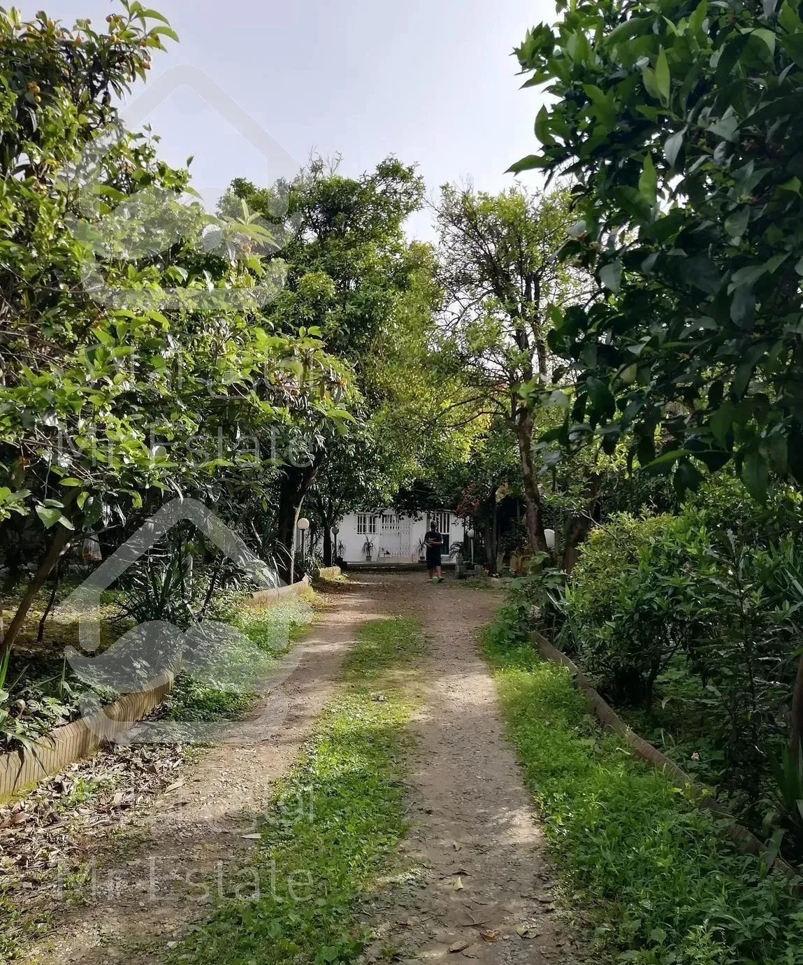 خانه باغ سنتی