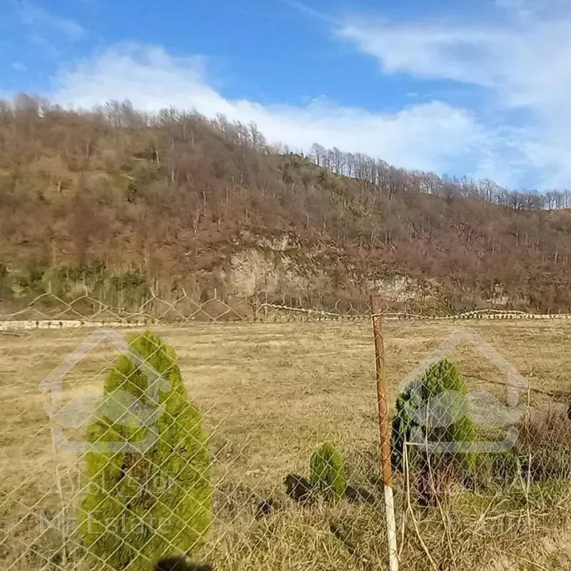 زمین مسکونی 22000 متر_ جاده دو هزار_ویو جنگل