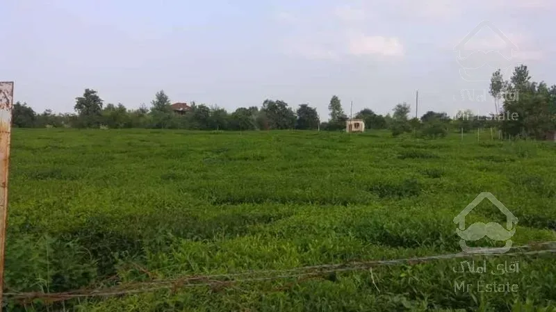 فروش زمین مسکونی 15000 متر در سلیمان آباد