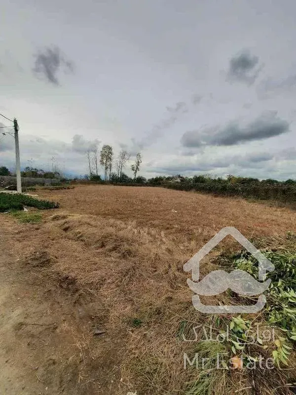 فروش زمین کشاورزی 5000 متر در لشگرک