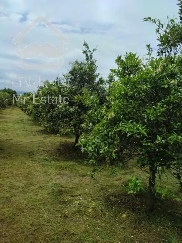 زمین 2500 متر -مناسب شهرک سازی -ویو جذاب