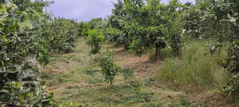 زمین 2500 متر -مناسب شهرک سازی -ویو جذاب