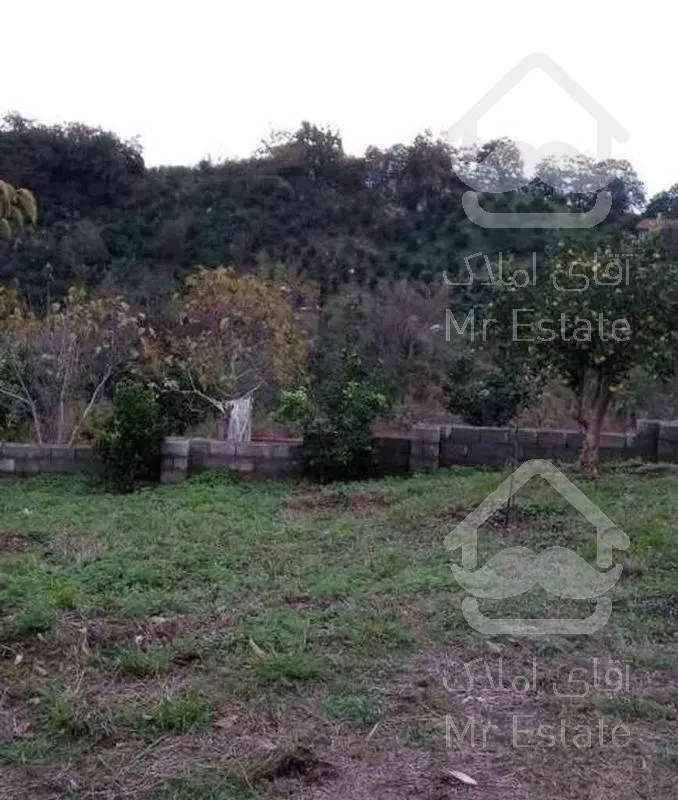 فروش زمین مسکونی 300 متر در اربکله