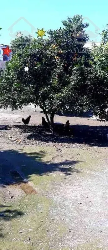 فروش زمین مسکونی 270 متر در خوبان رزگاه