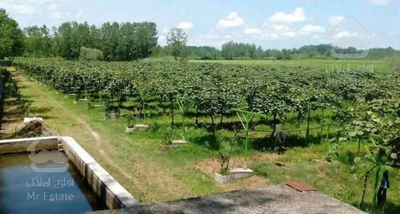 فروش زمین کشاورزی 14000 متر در رودگرمحله