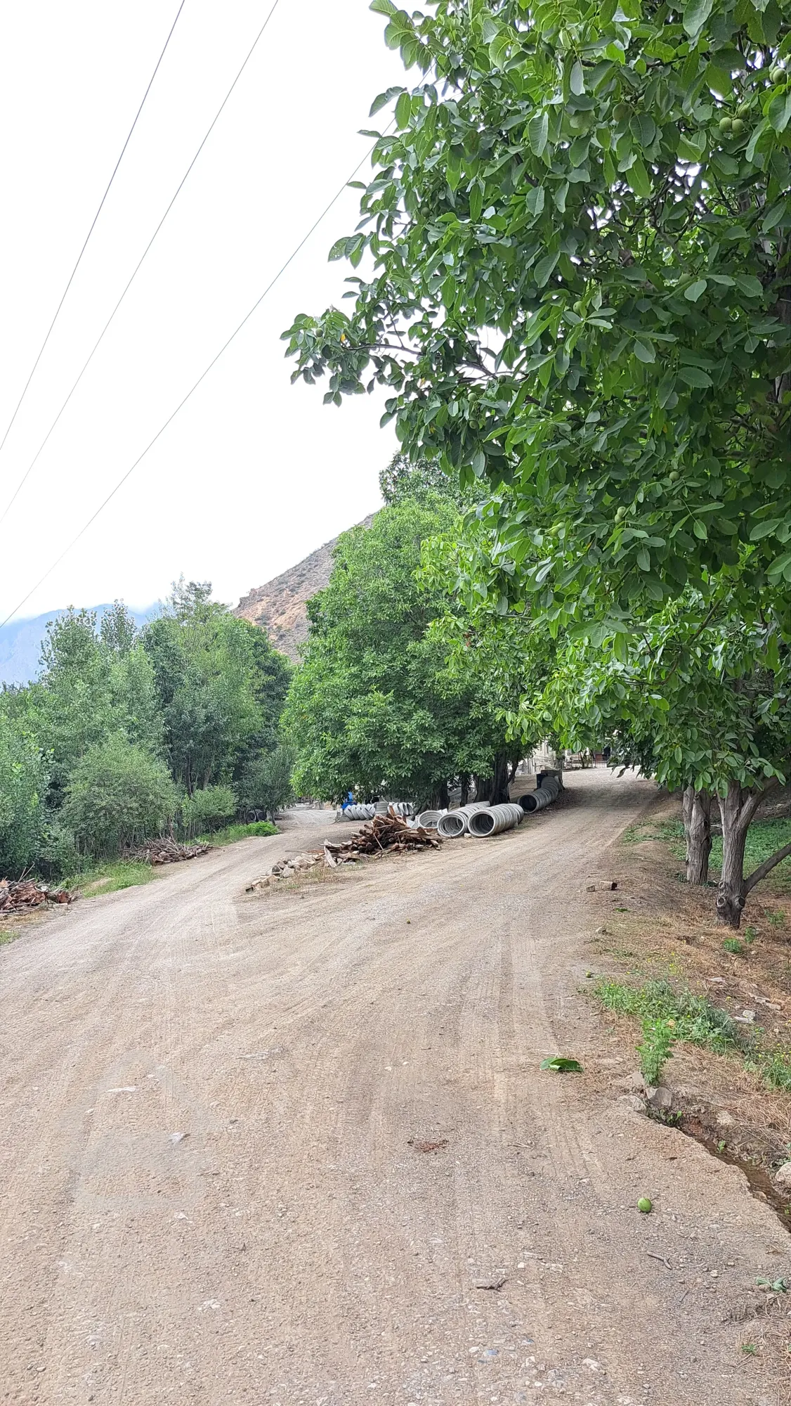 ویلا سوادکوه