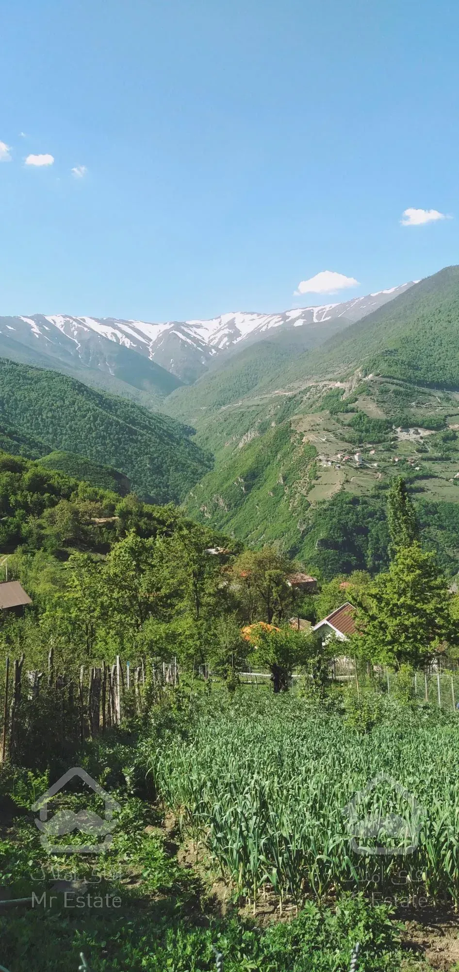 زمین ییلاقی،ییلاق دالخانی(ولنگان)