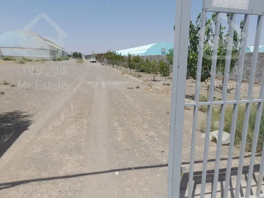 مجتمع گلخانه ای/ سلفچگان/ تک برگ