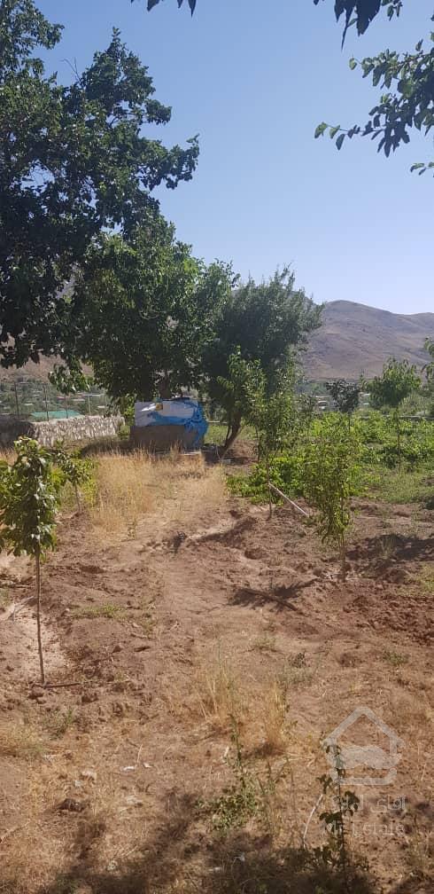 فروش باغ محصور شده با درختان مثمر در مسیر طالقان (روستای صمغ آباد)