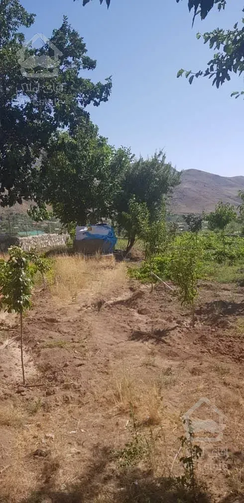 فروش باغ محصور شده با درختان مثمر در مسیر طالقان (روستای صمغ آباد)