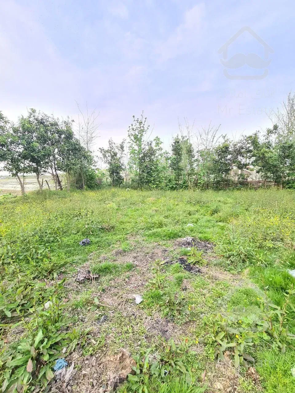 زمین با ویو عالی