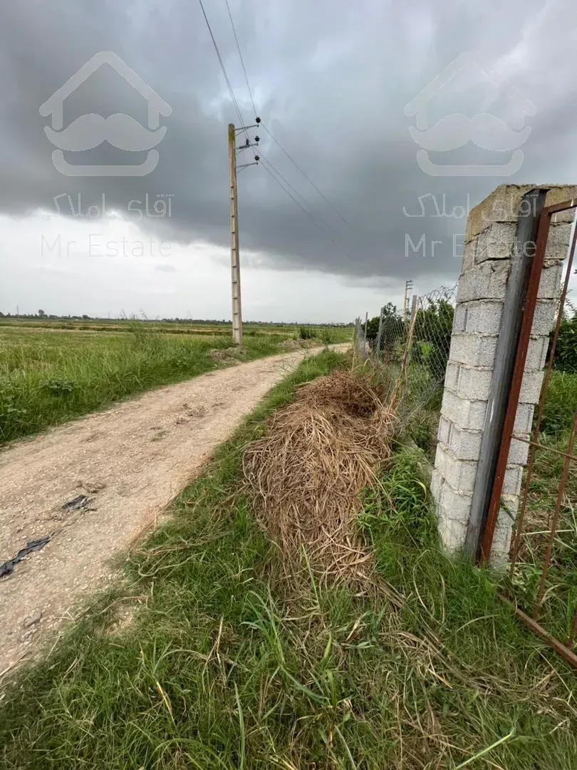 فروش باغ مرکبات/ ۱۶۰۰ متر/ قائمشهر/ سرمایه‌گذاری موفق