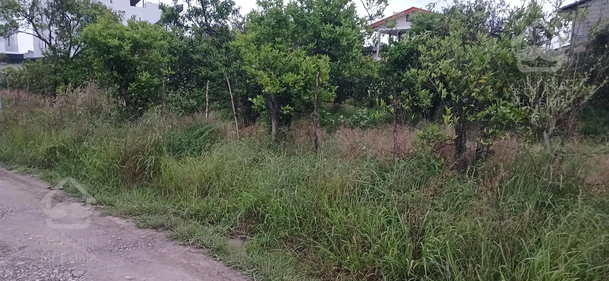 فروش زمین با قیمت مناسب