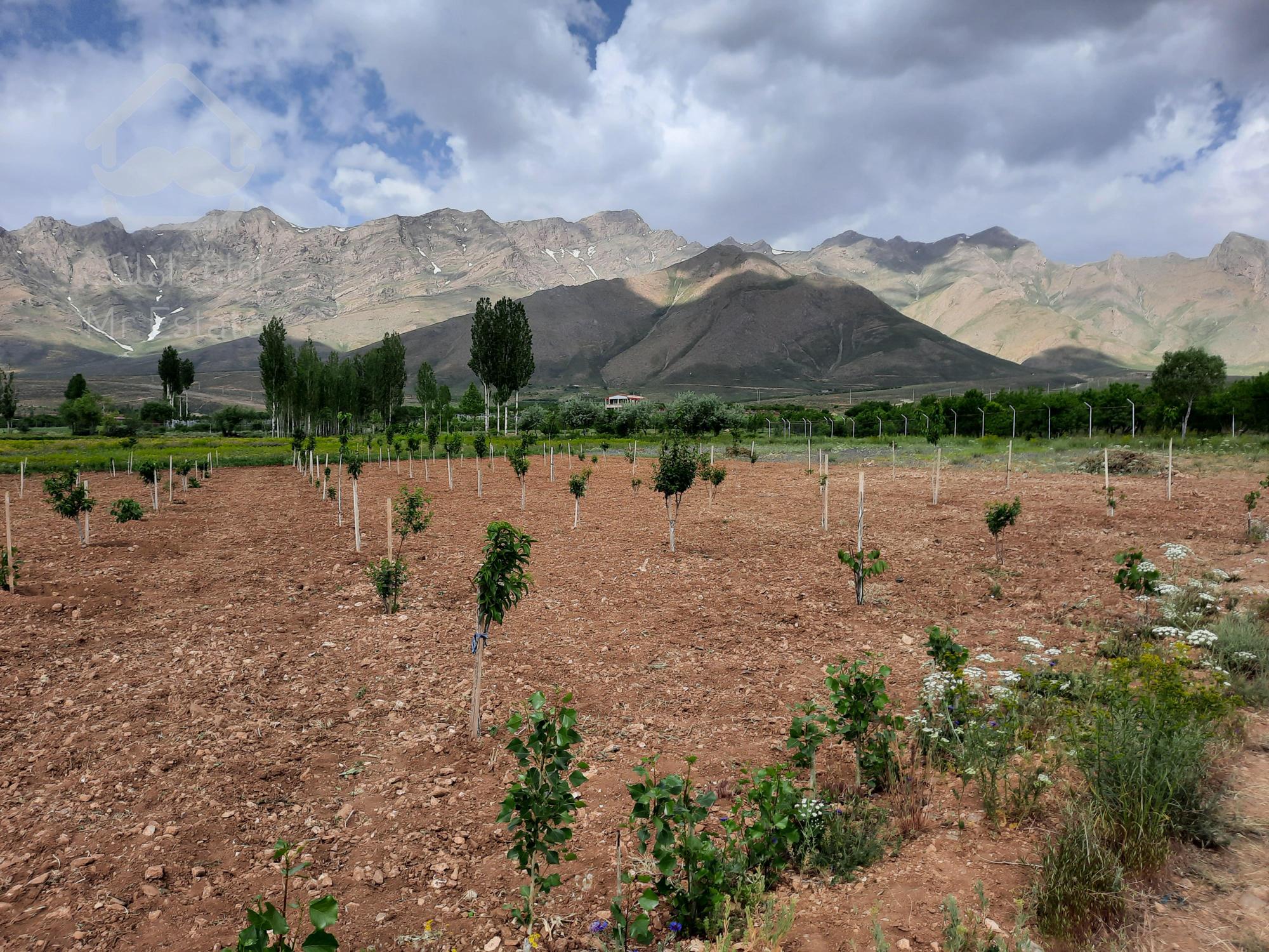 زمین باغ و ویلا