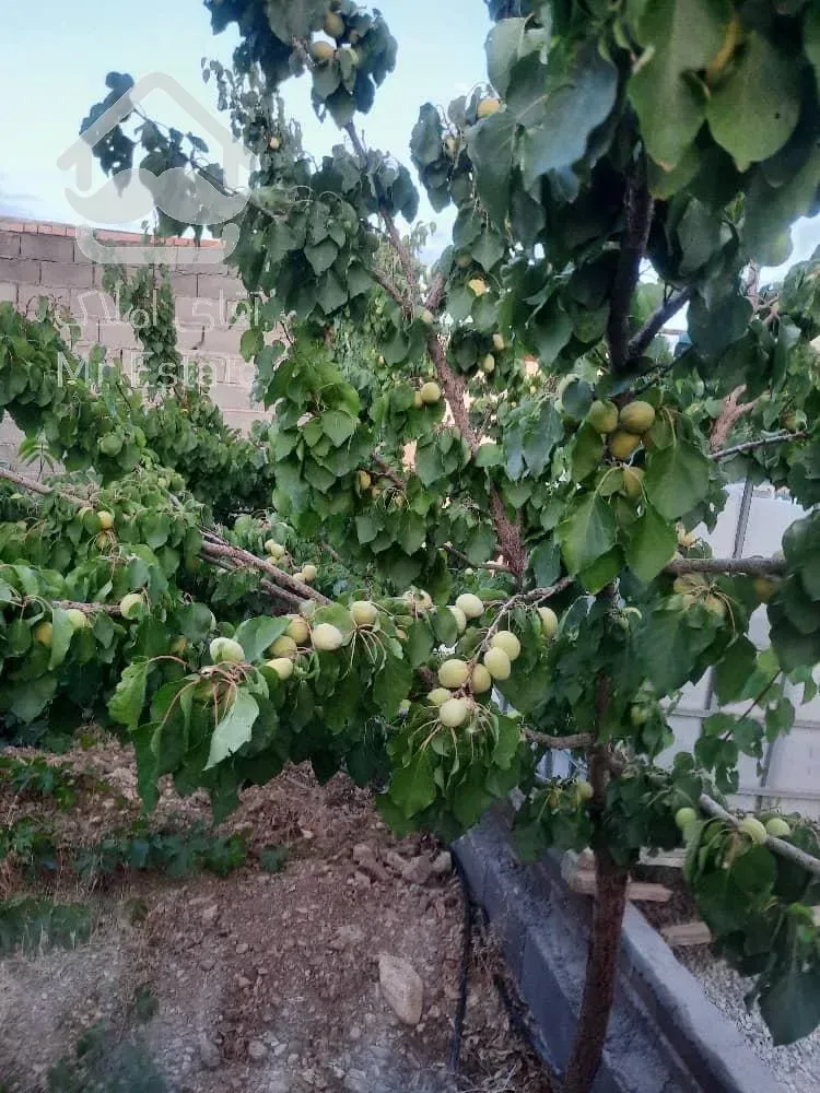 تهاتر ویلا باغ با آپارتمان در ساوه و پرند