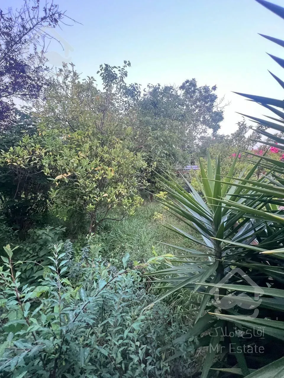 فروش ویلا قدیمی سند دار داخل مجتمع قیمت کاسبی سیاهرود