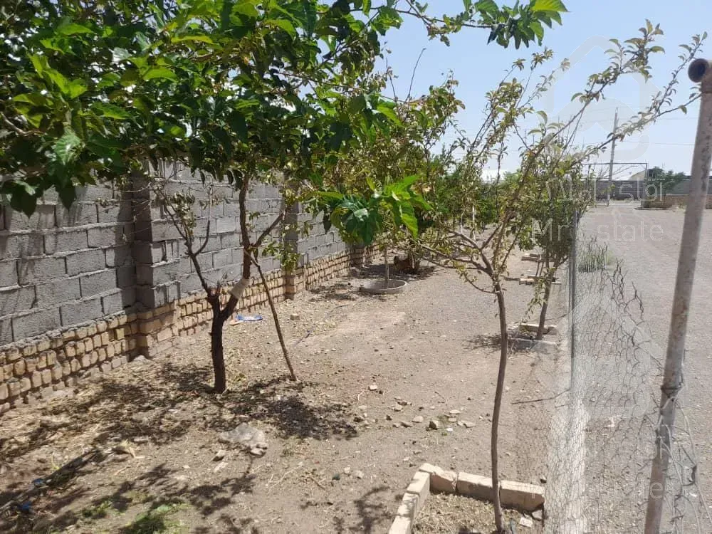 مجتمع گلخانه ای/ سلفچگان/ تک برگ