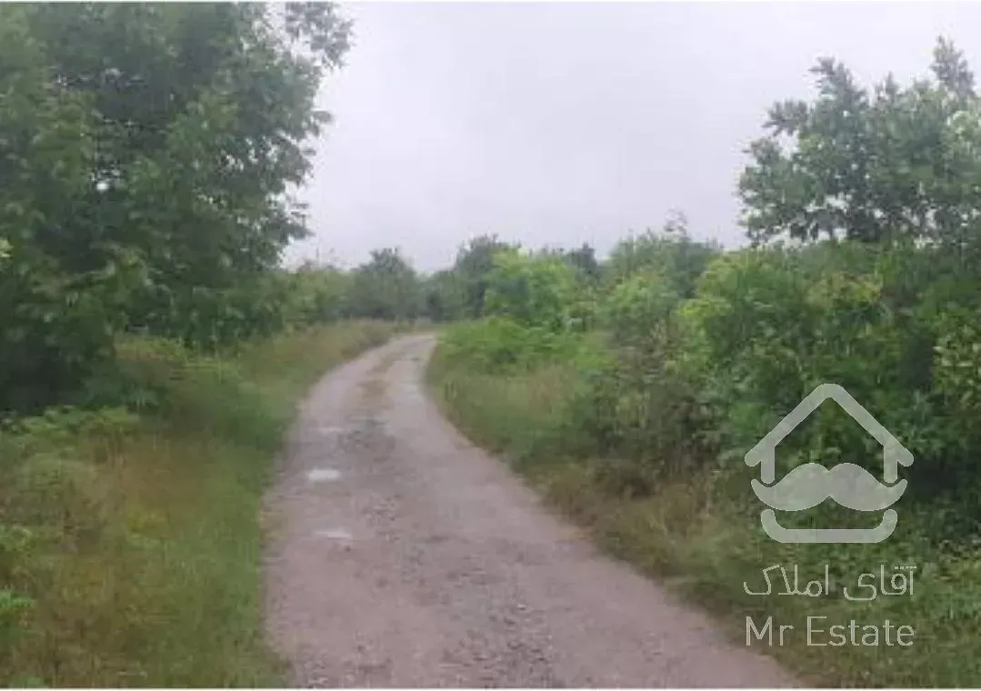 ۲۵۰ متر زمین باغی در جاده نظامی قائمشهر