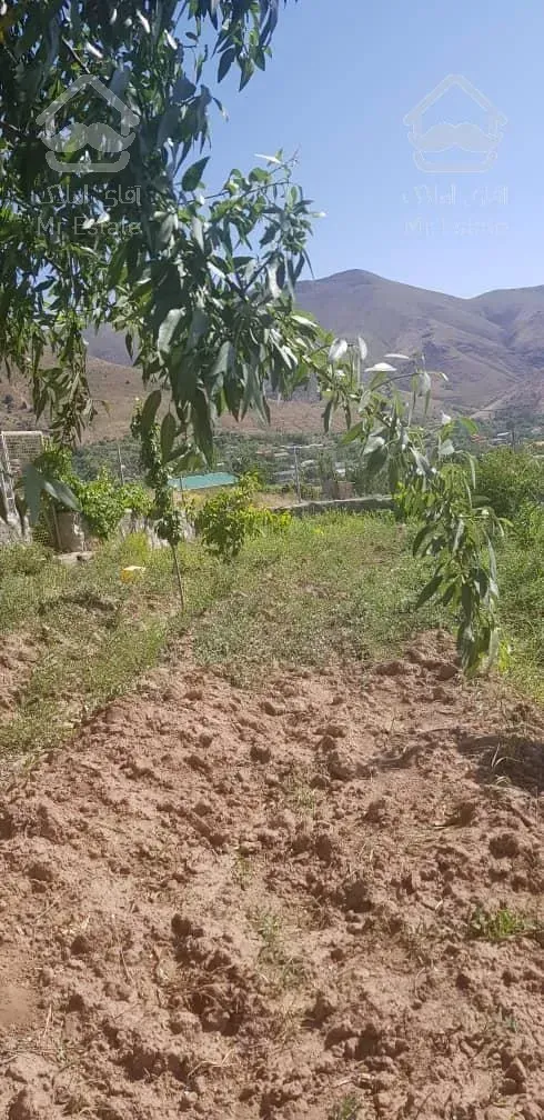 فروش باغ محصور شده با درختان مثمر در مسیر طالقان (روستای صمغ آباد)
