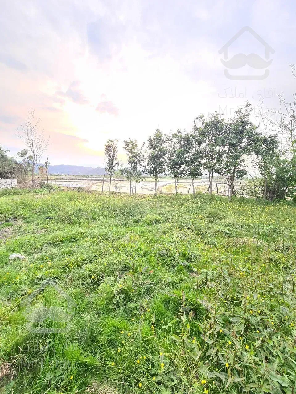 زمین با ویو عالی