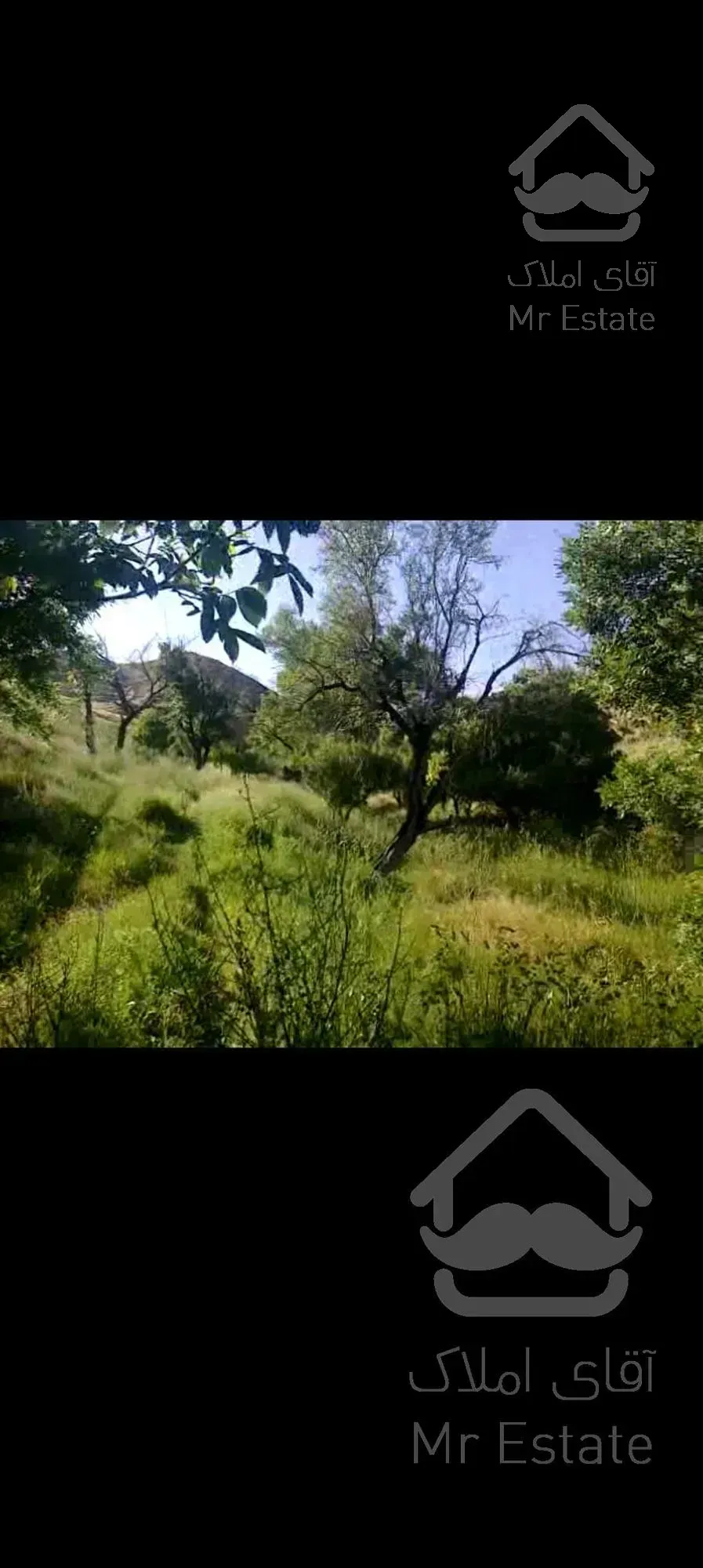 29هزارمترزمین وباغ