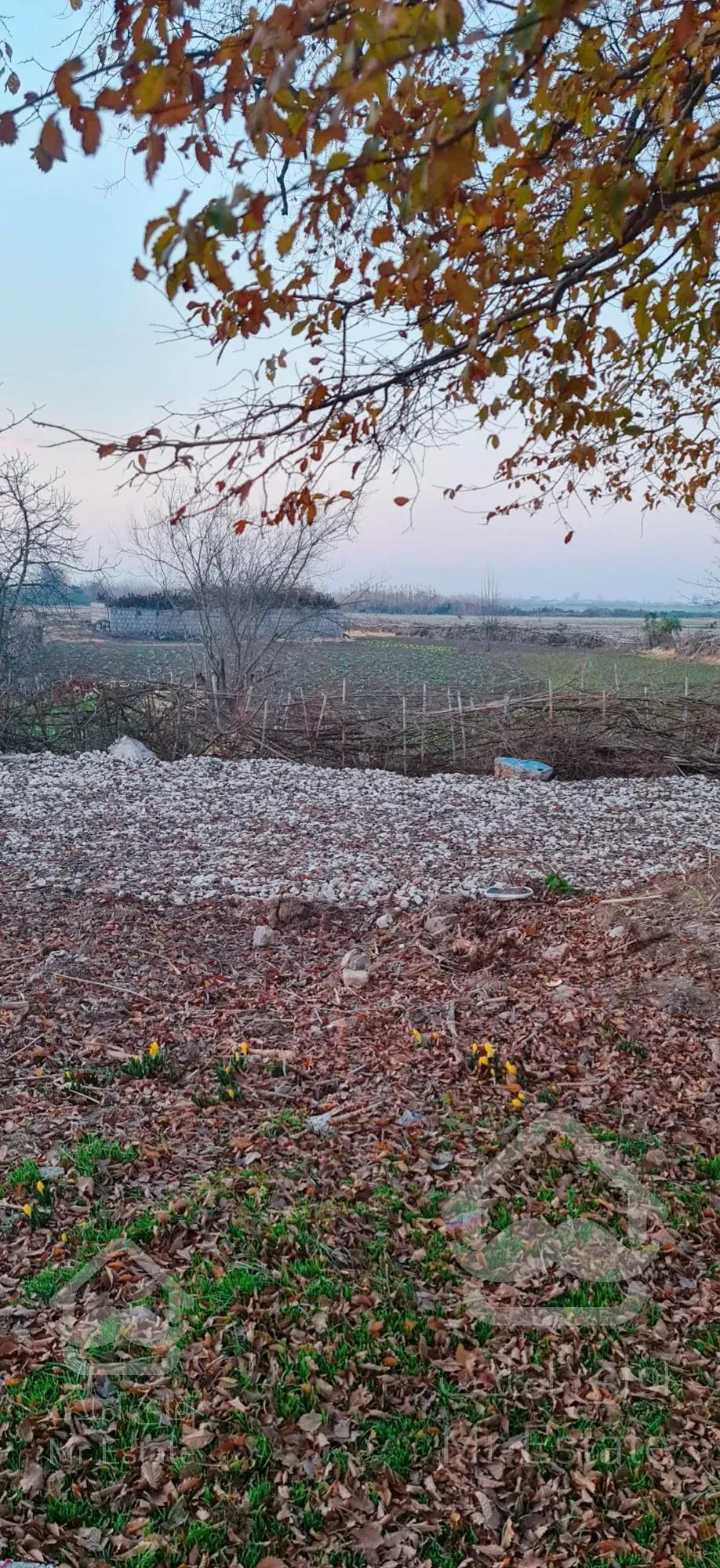 💚💚فروش زمین مناسب ساخته ویلا داخل بافت ۳۰۰ متر در بکرترین قسمت شمال با چهار فصل رویایی💚💚