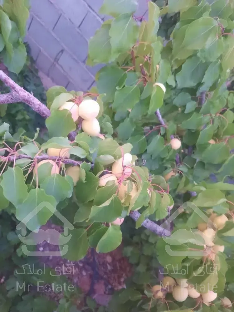 تهاتر ویلا باغ با آپارتمان در ساوه و پرند