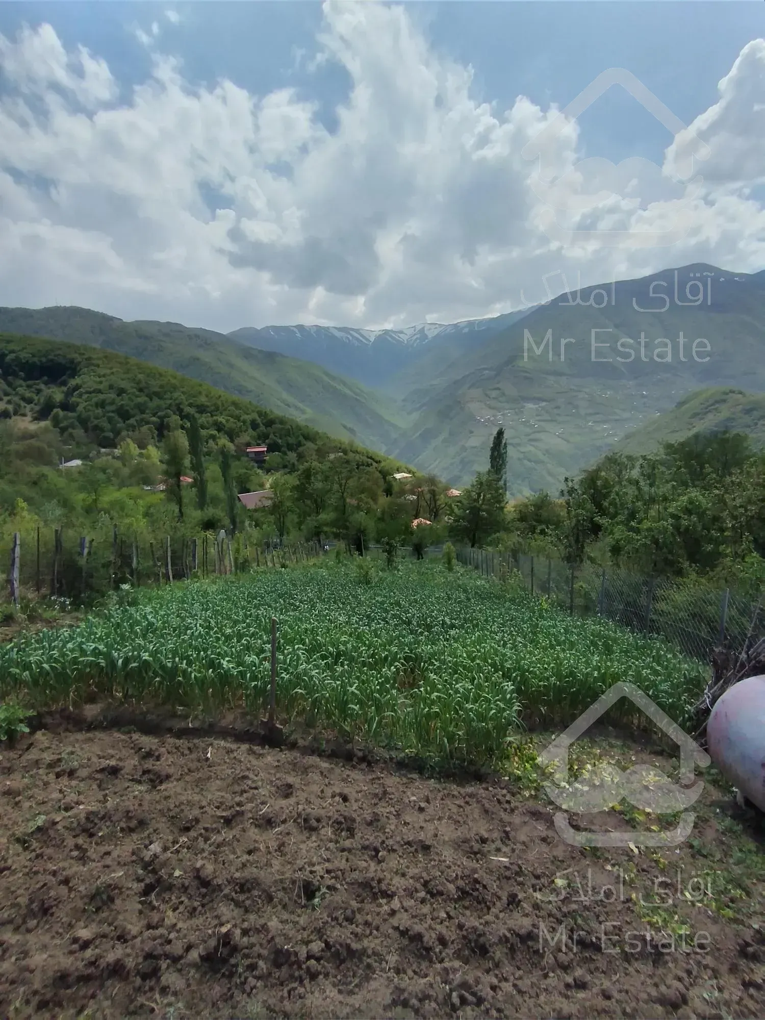 زمین ییلاقی،ییلاق دالخانی(ولنگان)