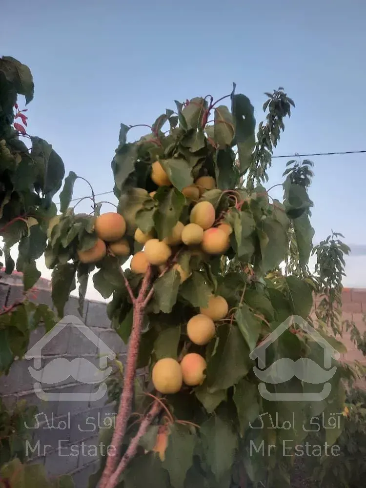 تهاتر ویلا باغ با آپارتمان در ساوه و پرند