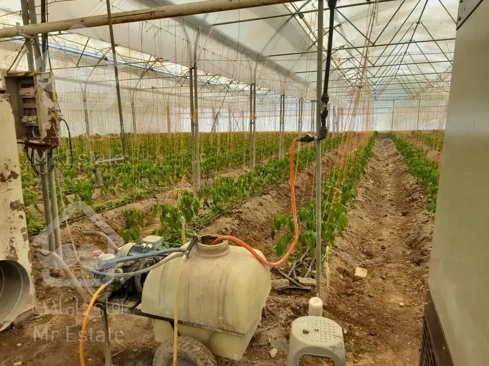 گلخانه ۵۰۰۰ متری/ سند تک برگ