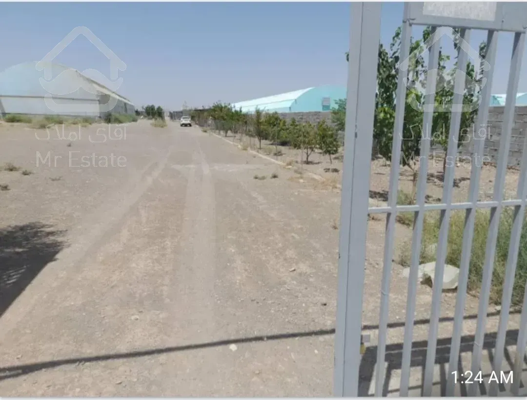 گلخونه ۵۰۰۰ متری سلفچگان /