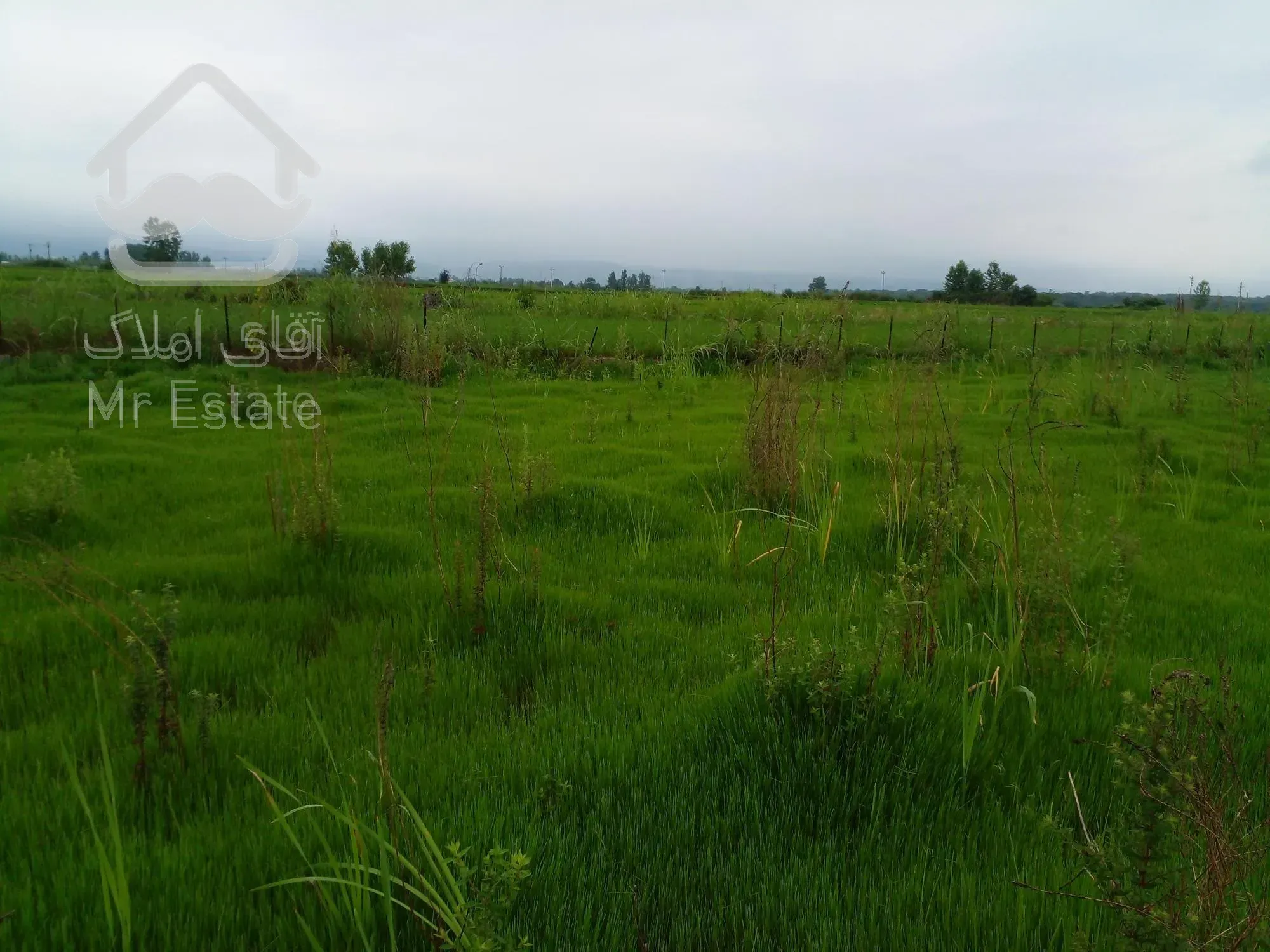 زمین نزدیک به جنگل