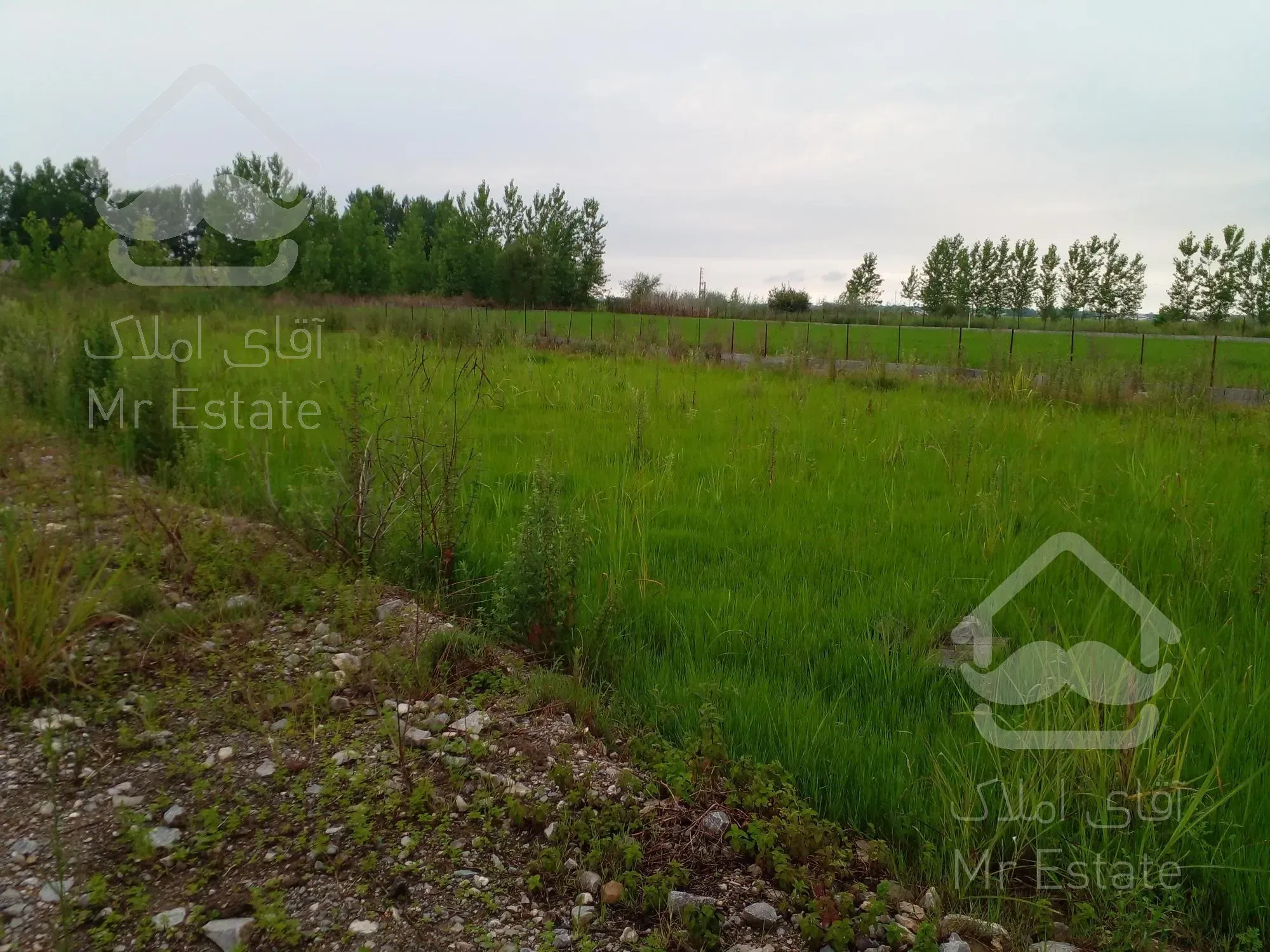 زمین نزدیک به جنگل