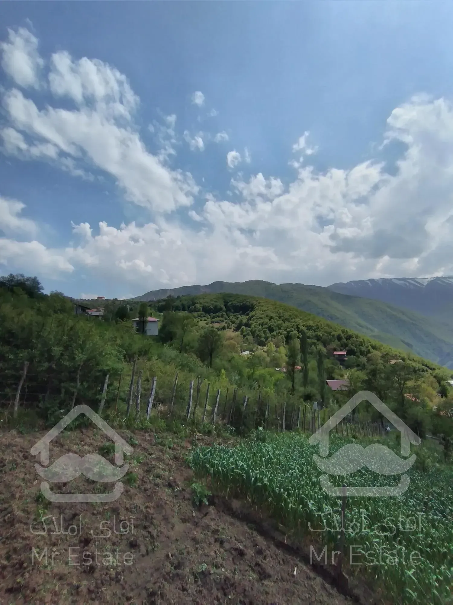 زمین ییلاقی،ییلاق دالخانی(ولنگان)