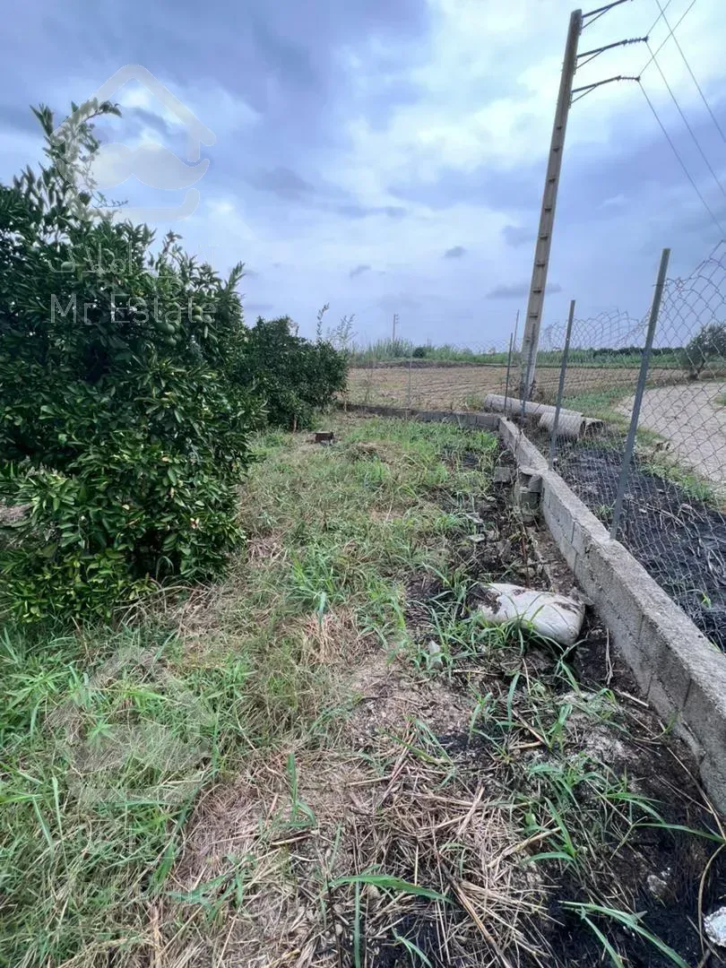 فروش باغ مرکبات/ ۱۶۰۰ متر/ قائمشهر/ سرمایه‌گذاری موفق