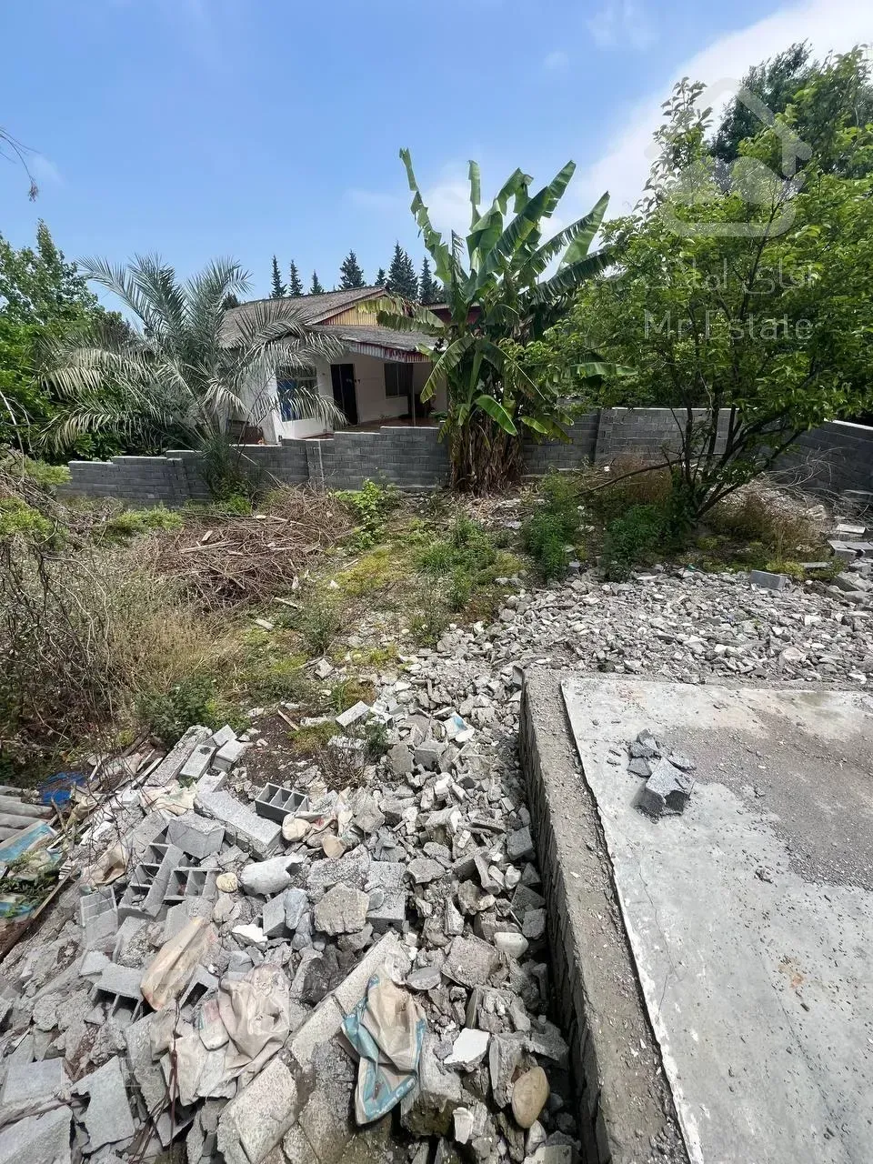 فروش زمین مسکونی دامنه جنگل